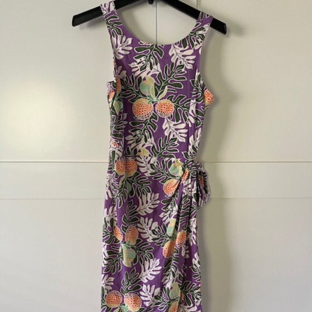 Patagoina Dress